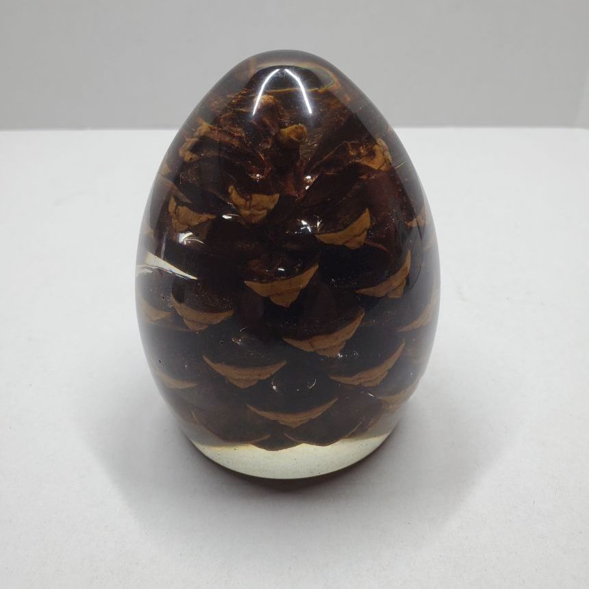 Egg Shaped Pinecone